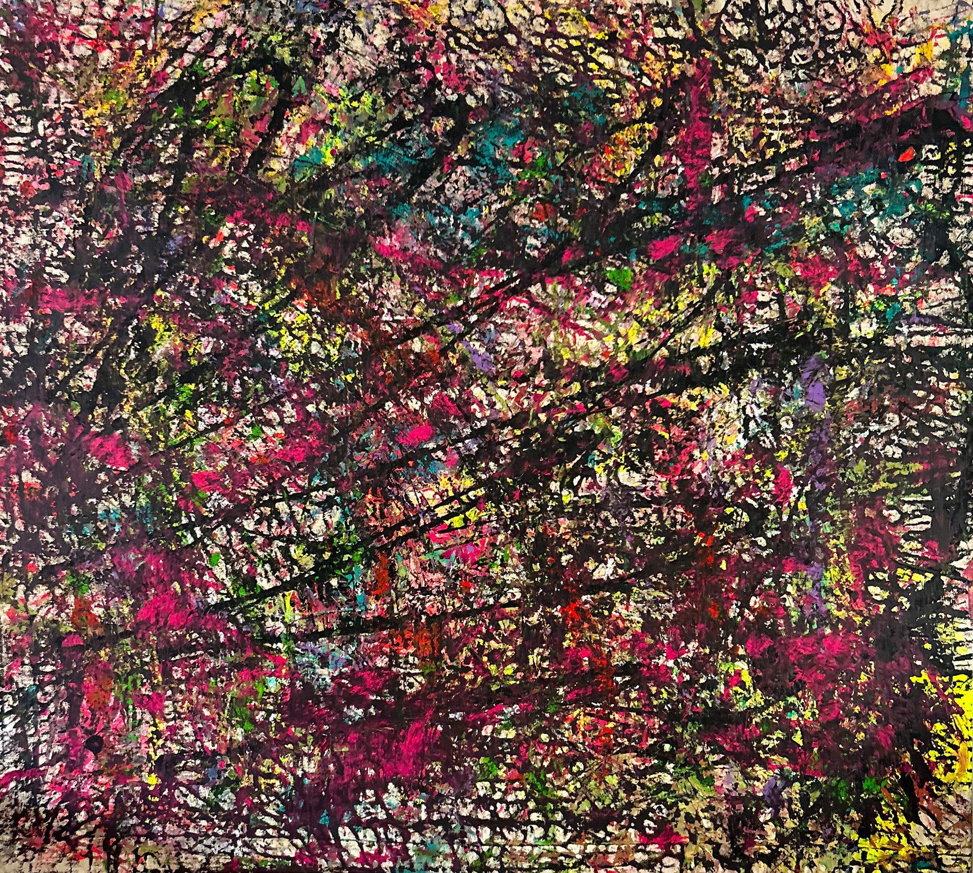 No. 204 Artwork - Tim Rombach